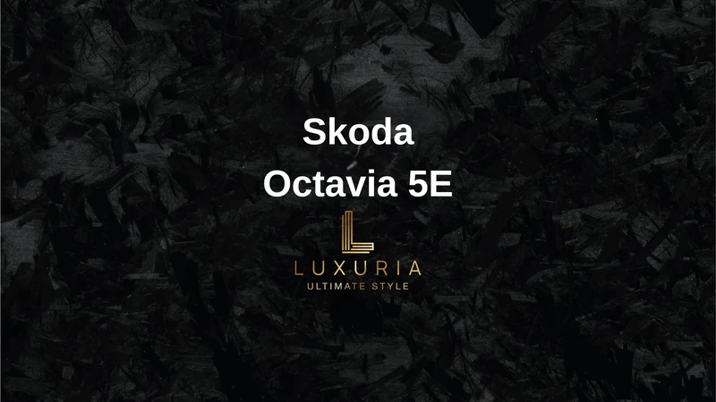 Originale Rückfahrkamera für Skoda Octavia 5E inkl. Einbau (Nachrüstung)