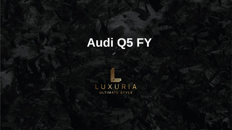 Originale Rückfahrkamera für Audi Q5 FY inkl. Einbau (Nachrüstung)
