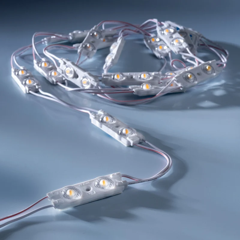 leds.de Wasserdichte LED-Module, 2 LEDs, 12V, IP67, 20 Stück
