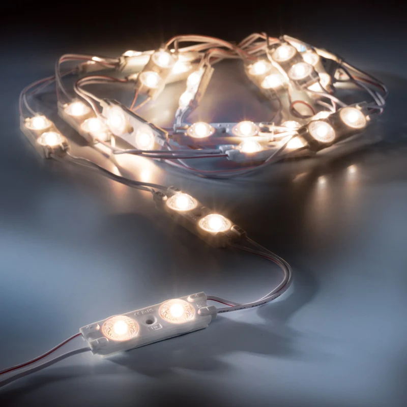 leds.de Wasserdichte LED-Module, 2 LEDs, 12V, IP67, 20 Stück