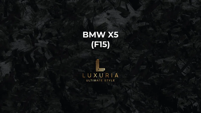 Ambientebeleuchtung für BMW X5 (F15) inkl. Einbau (Nachrüstung)
