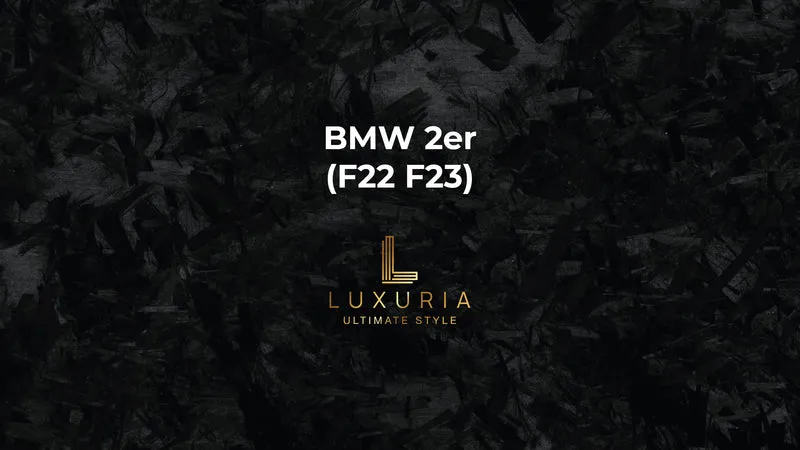 Ambientebeleuchtung für BMW 2er (F22 F23) inkl. Einbau (Nachrüstung)