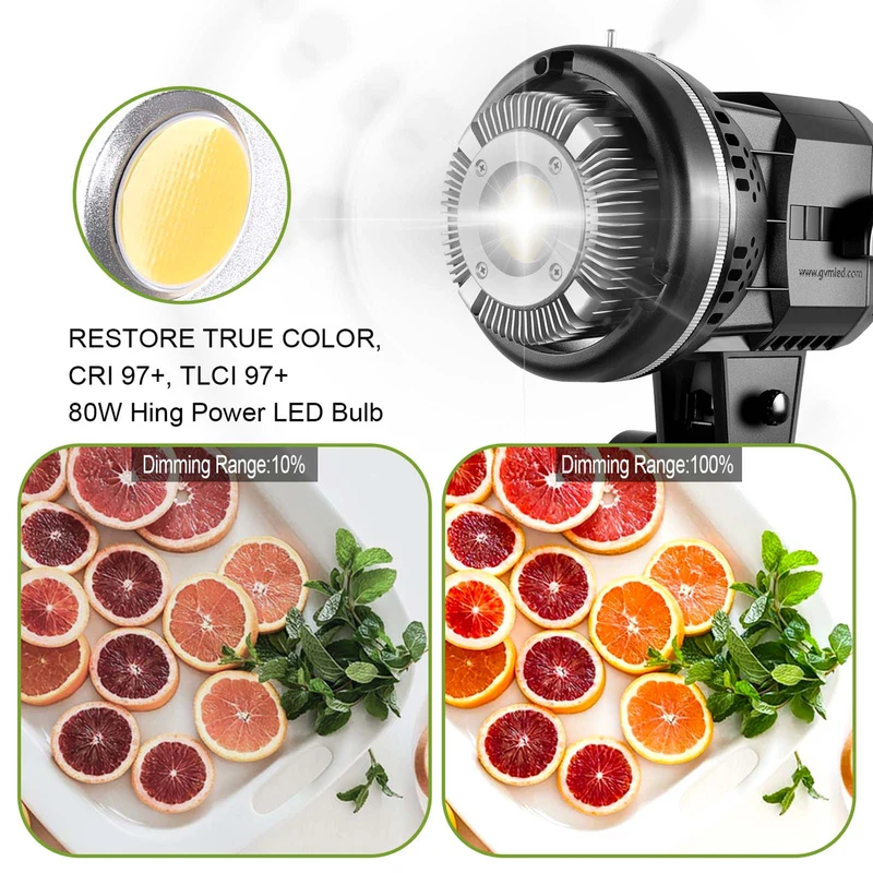 GVM 80W LED Spotlight Daylight Kit with Softbox