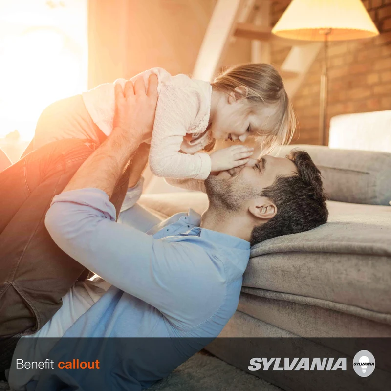 SYLVANIA LED A19 Light Bulb, 75W = 12W, Non-Dimmable, Frosted Finish, 1100 Lumens, 2700K, Soft White - 4 Pk