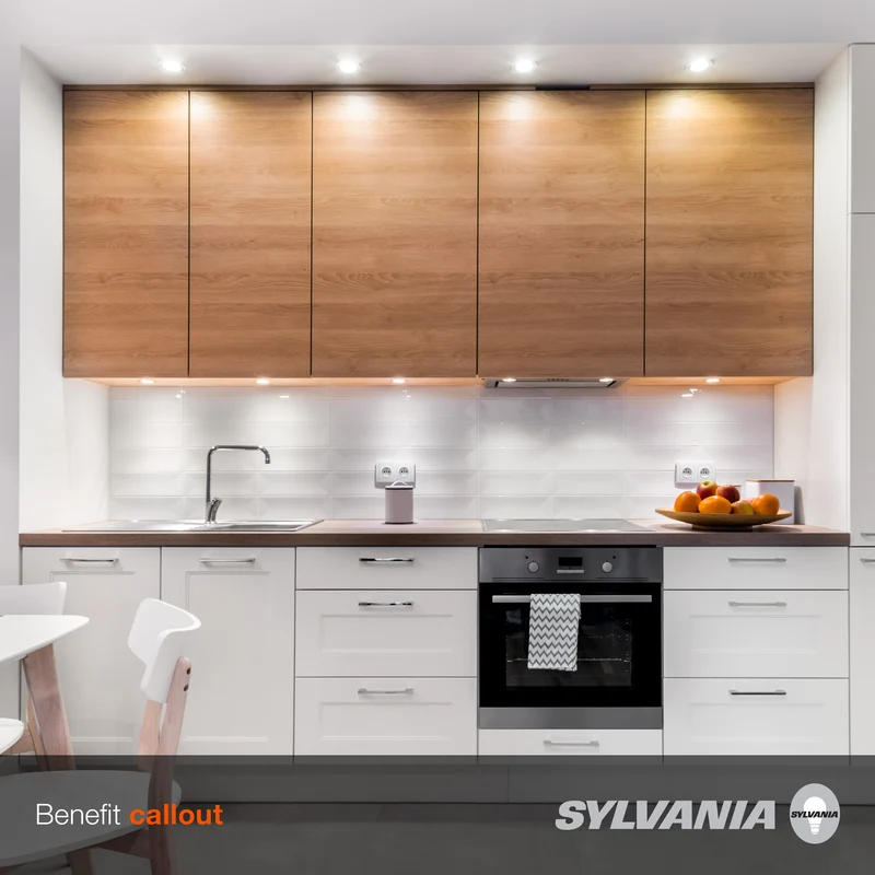 SYLVANIA LED A19 Light Bulb, 40W = 6W, 10 Year, Non-Dimmable, Frosted Finish, 450 Lumens, Daylight - 4 Pk