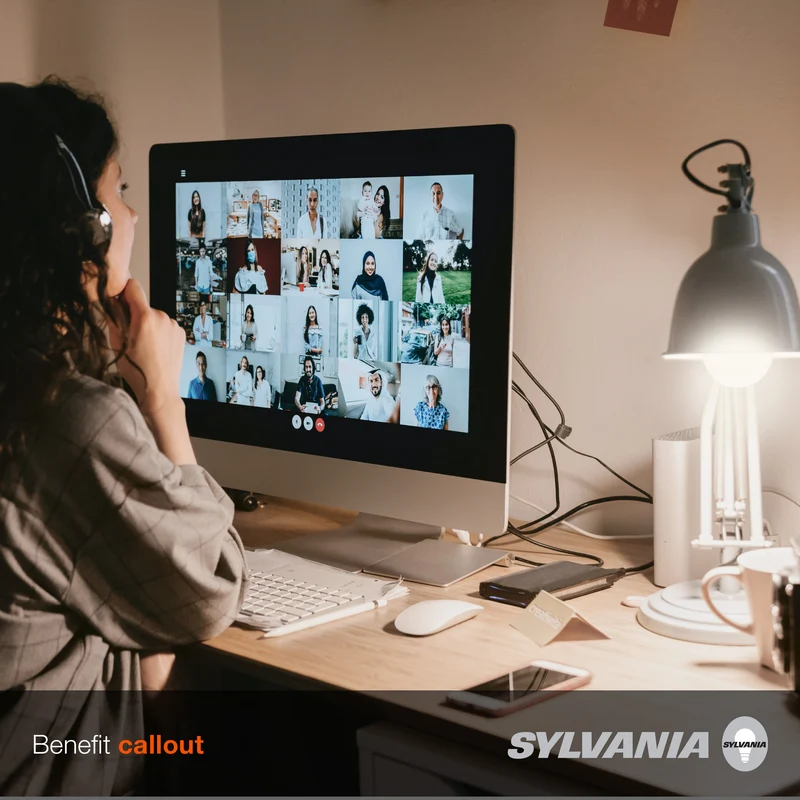 SYLVANIA LED A19 Light Bulb, 40W = 6W, 10 Year, Non-Dimmable, Frosted Finish, 450 Lumens, Daylight - 4 Pk