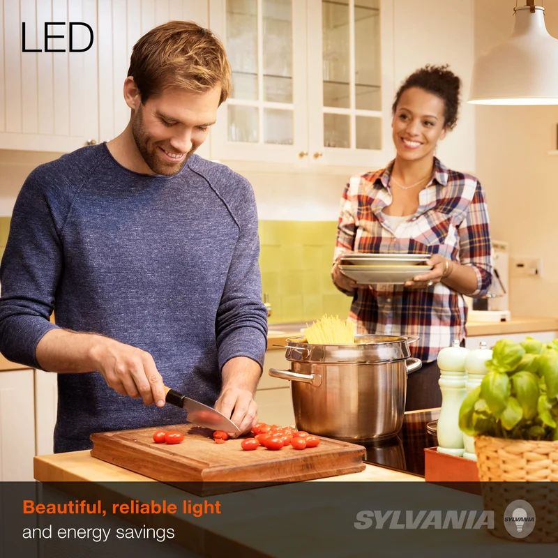 SYLVANIA LED A19 Light Bulb, 40W = 6W, 10 Year, Non-Dimmable, Frosted Finish, 450 Lumens, 2700K, Soft White - 4 Pk