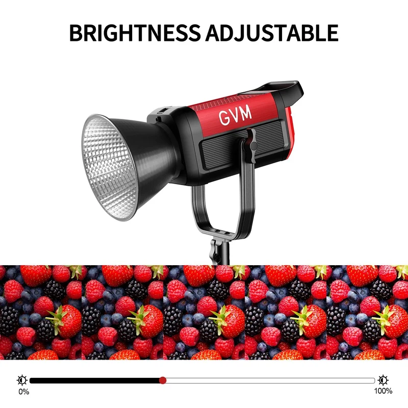 GVM PRO-SD200B 200W Bi-Color Monolight With Softbox