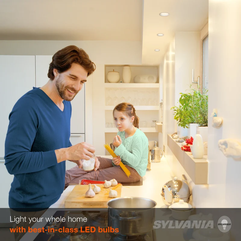 SYLVANIA LED R20 Flood Light Bulb, 50W = 7W, Dimmable, 22 Year, Frosted, 5000K, Daylight - 1 Pk