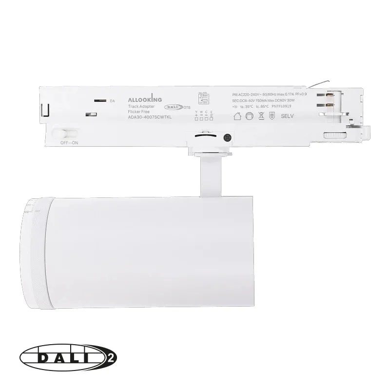 DALI 3-Phasen-Schienenstrahler | Zoombar | Wattschalter | CCT-Schalter | Weiß