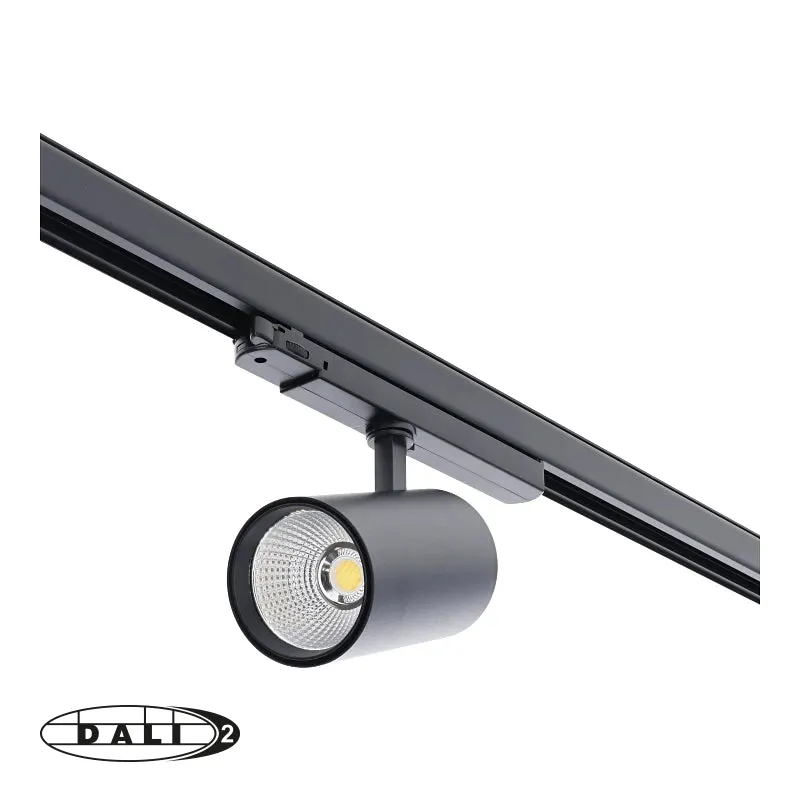 3-Phasen-DALI-Schienenstrahler | Rosalin | 10-20-30 Watt-Schalter | Schwarz | CCT-Schalter | DALI2