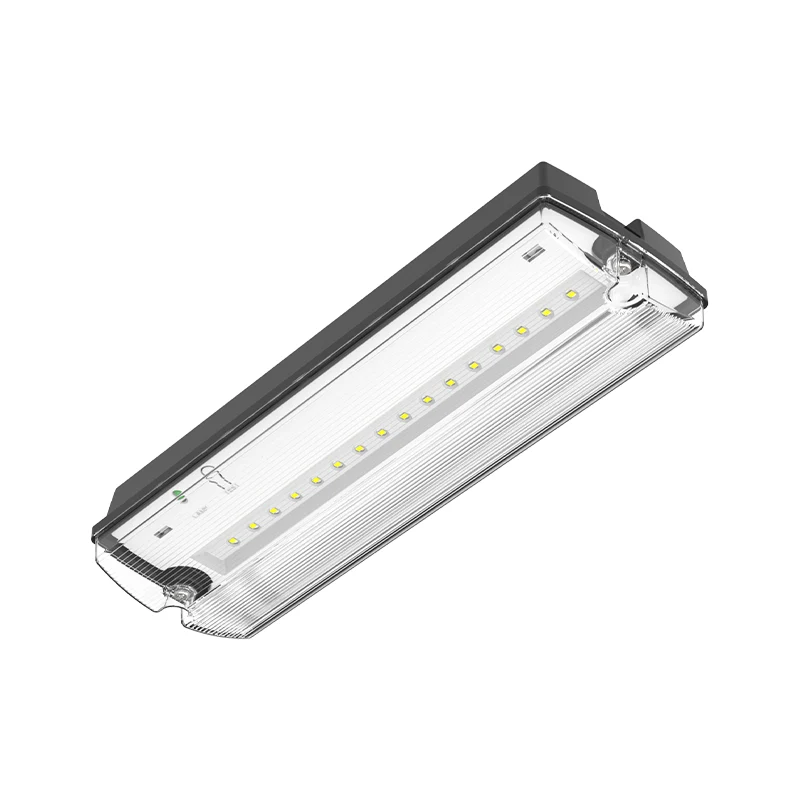 Notbeleuchtung | Schwarz | 3 Watt | IP66 | inkl. 4x Symbole