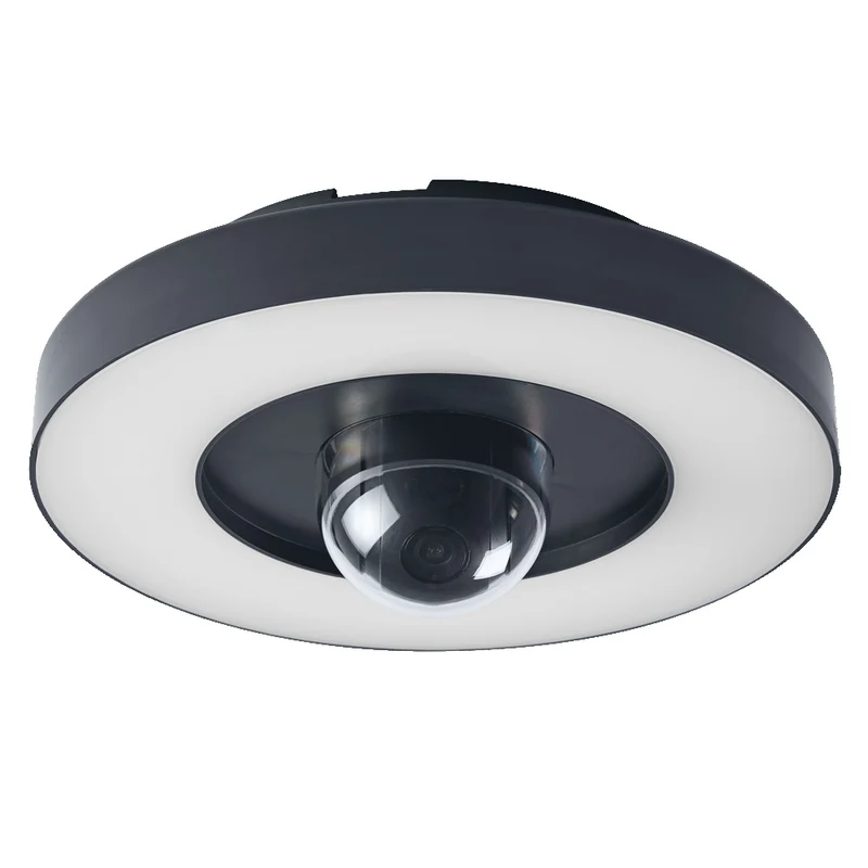 OSRAM SMART+ Outdoor-Wand- & Deckenleuchte + Kamera, grau