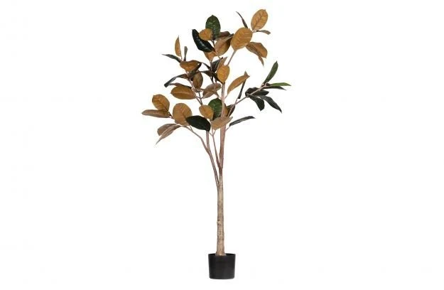 Kunstbaum Rubber 170cm