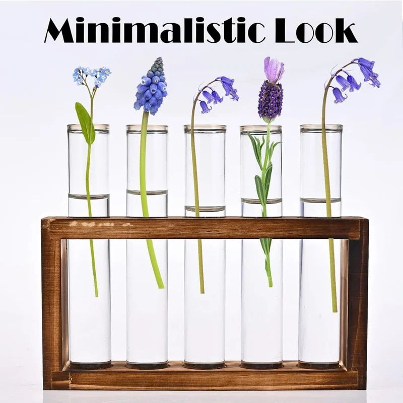 Glass Wooden Stand with 5 Test Tubes