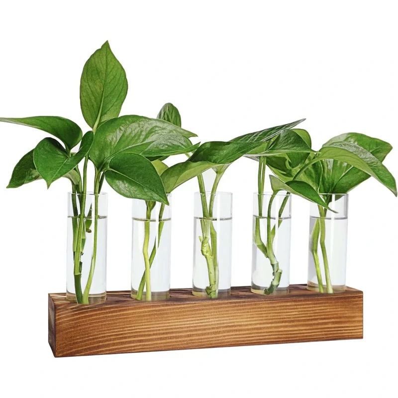 Glass Wooden Stand with 5 Test Tubes
