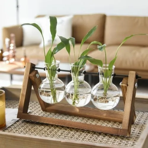 Glass Bulbs - 2 Pcs