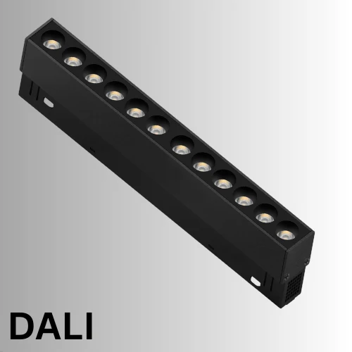 Magneto Strahler 12*1W, 2700K, 24°, feststehend, DALI, schwarz