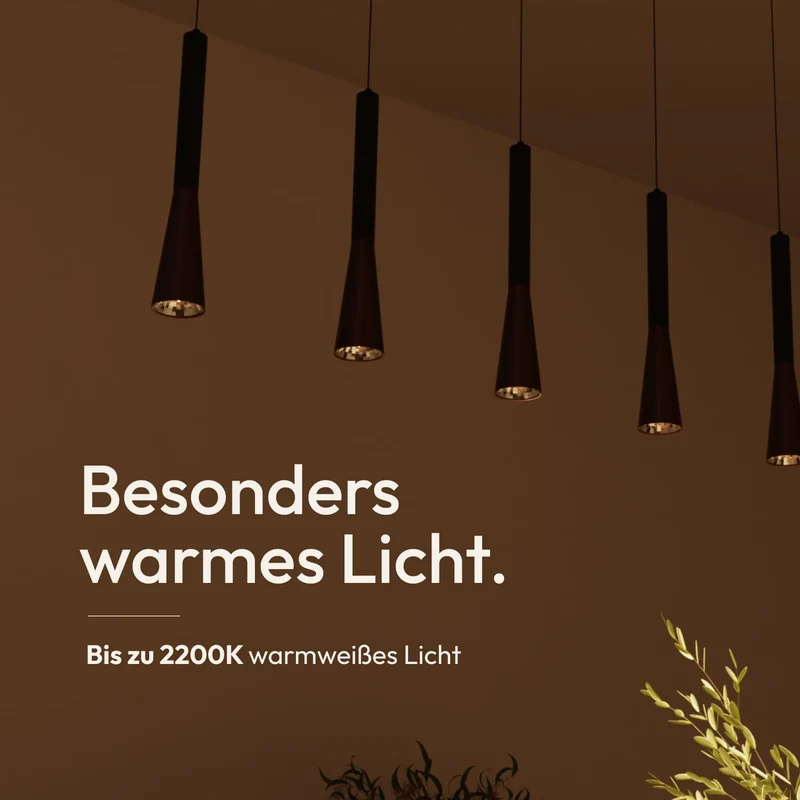Solea Pendelleuchte