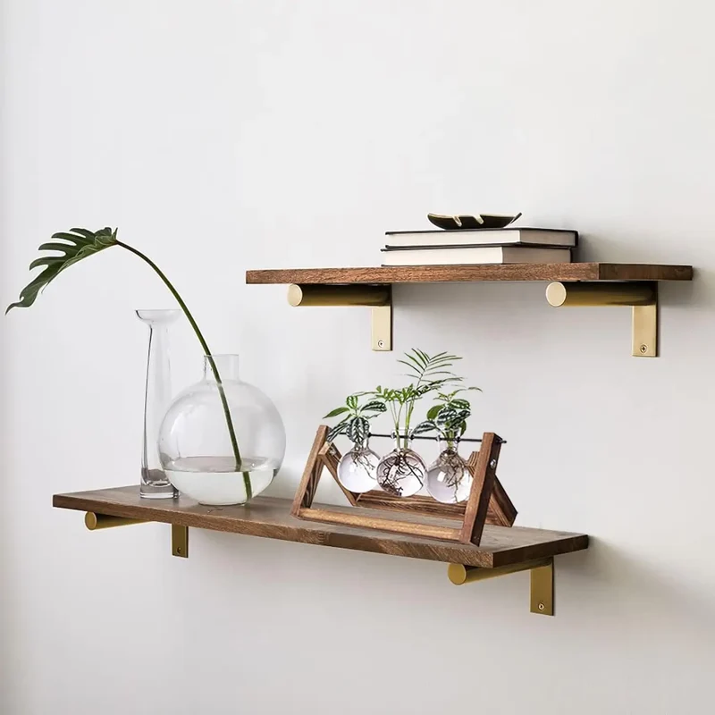 Hydroponic Plant Glass Vase