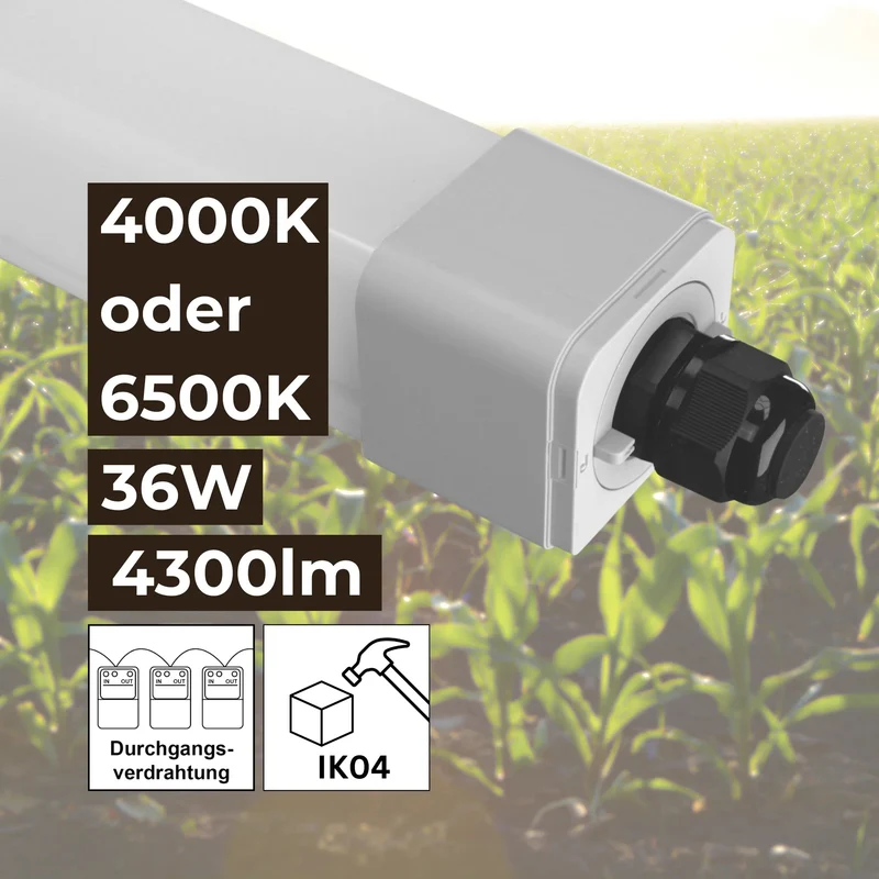 LED Feuchtraumleuchte Stallleuchte 120cm 4000K 36W 4300lm IP66 dlg anerkannt ammoniakbeständig