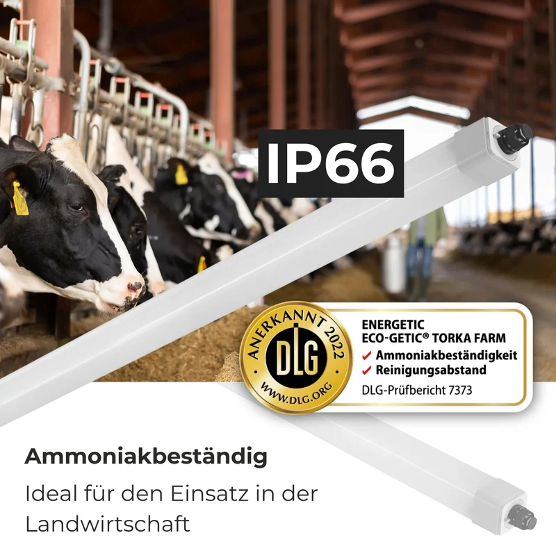 LED Feuchtraumleuchte Stallleuchte 120cm 4000K 36W 4300lm IP66 dlg anerkannt ammoniakbeständig