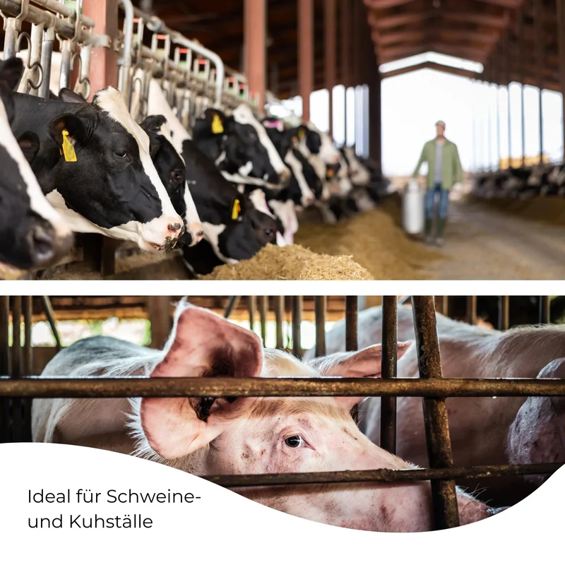 LED Feuchtraumleuchte Stallleuchte 120cm 4000K 36W 4300lm IP66 dlg anerkannt ammoniakbeständig