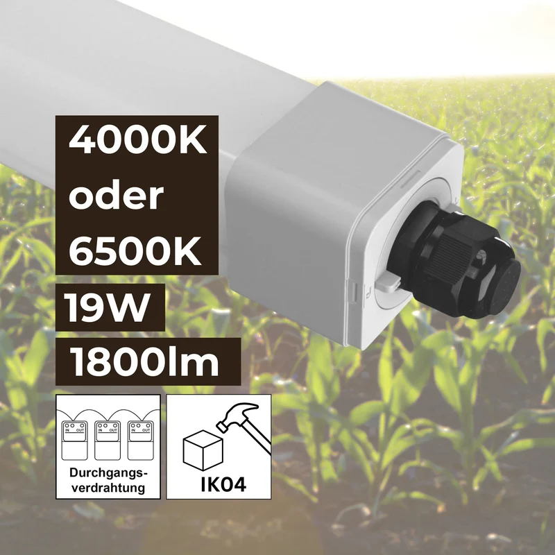 LED Feuchtraumleuchte ammoniakbeständig Stallleuchte 60cm 4000K oder 6500K 19W 1800lm IP66 dlg anerkannt