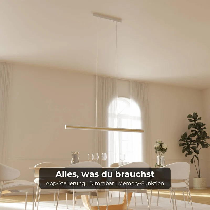B-Ware: DALI-2 DT8: Kalea Pendelleuchte