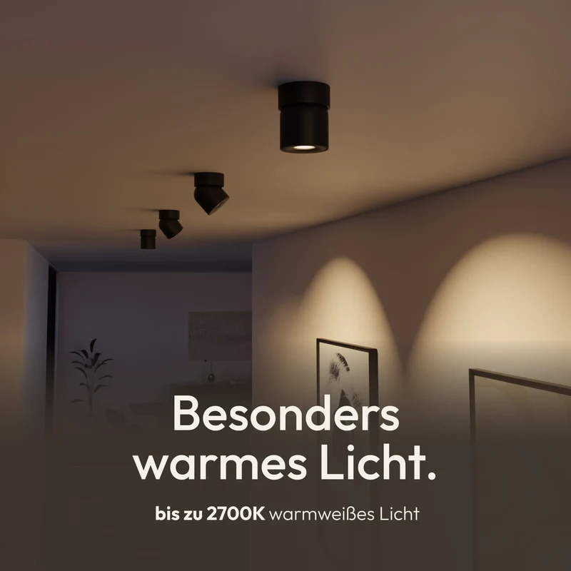 Esol Deckenleuchte