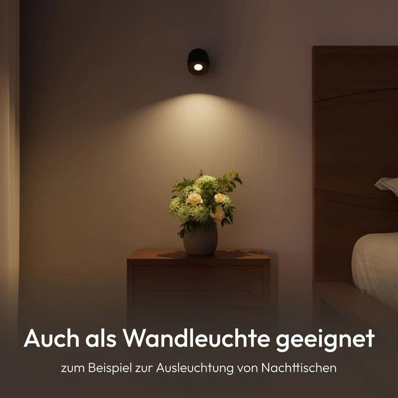 Esol Deckenleuchte