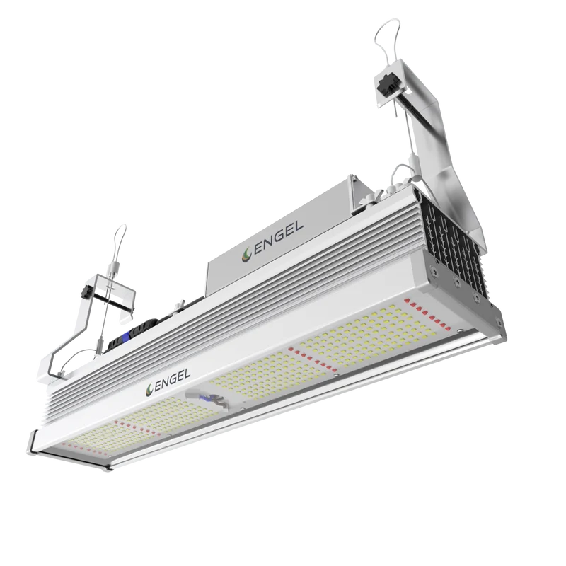 Engel Optimus LED-Pflanzenleuchte