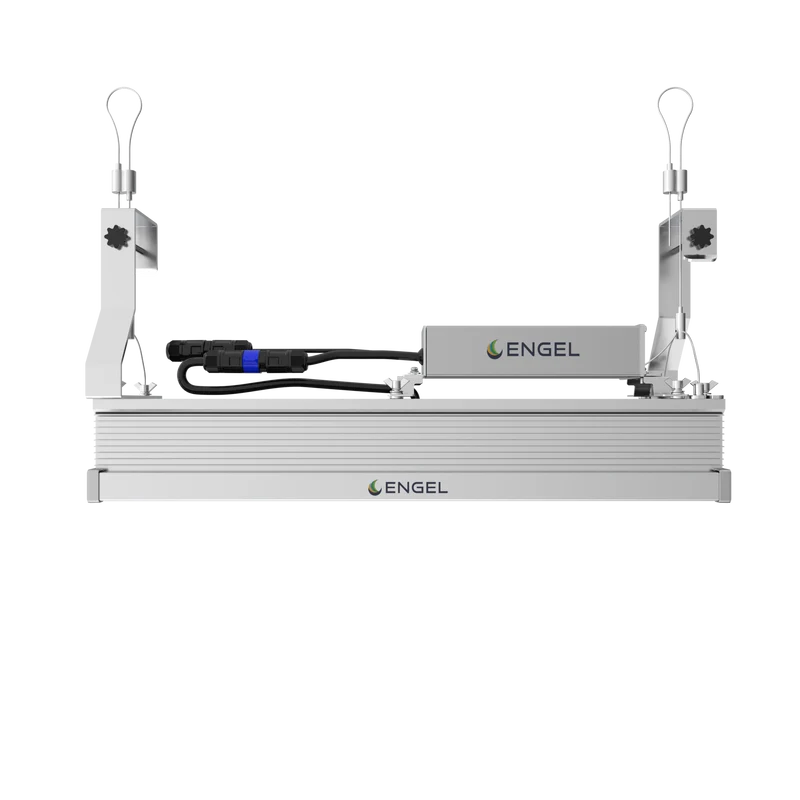 Engel Optimus LED-Pflanzenleuchte