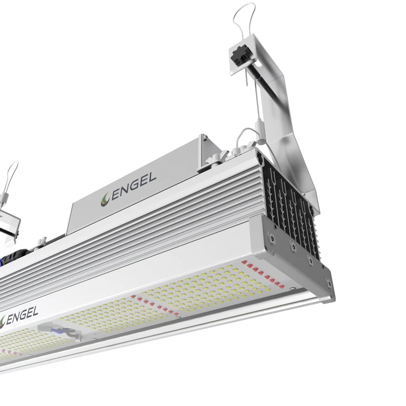 Engel Optimus LED-Pflanzenleuchte