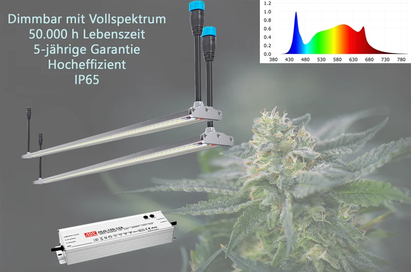 Engel Flora LED-Pflanzenleuchte – Set - Maximale Effizienz für Indoor- & Gewächshausanbau