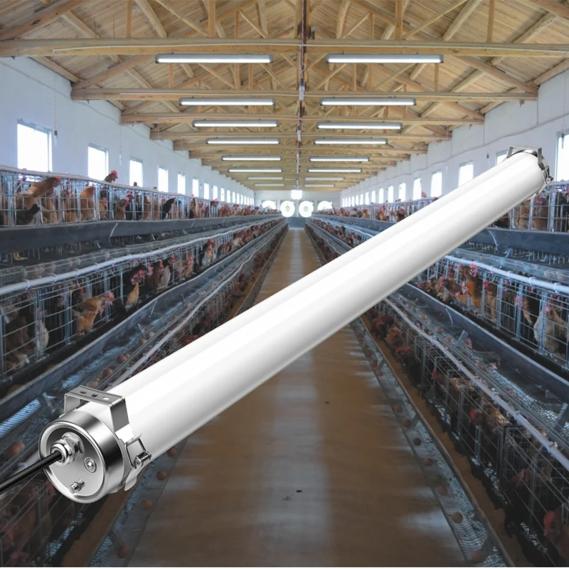 6 stycken (1 kartong) LED Lysrör IP69K 1500 mm 60W