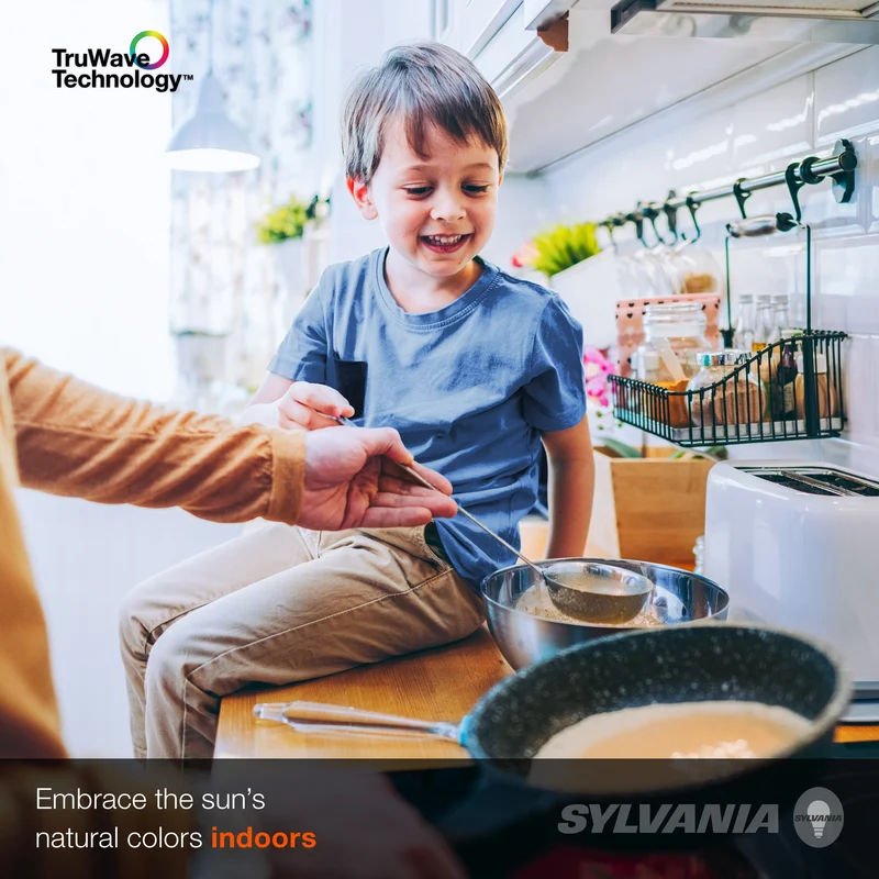 SYLVANIA LED TruWave A19 Light Bulb, 100W = 15W, 1600 Lumens, Dimmable, Frosted, 3000K, Warm White - 1 PK