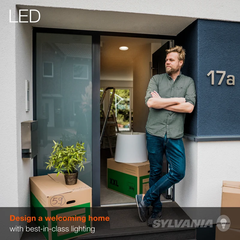 SYLVANIA LED Light Bulbs, BR30, 65W=9W, Dimmable, 10 Year, 5000K, Daylight - 2 PK