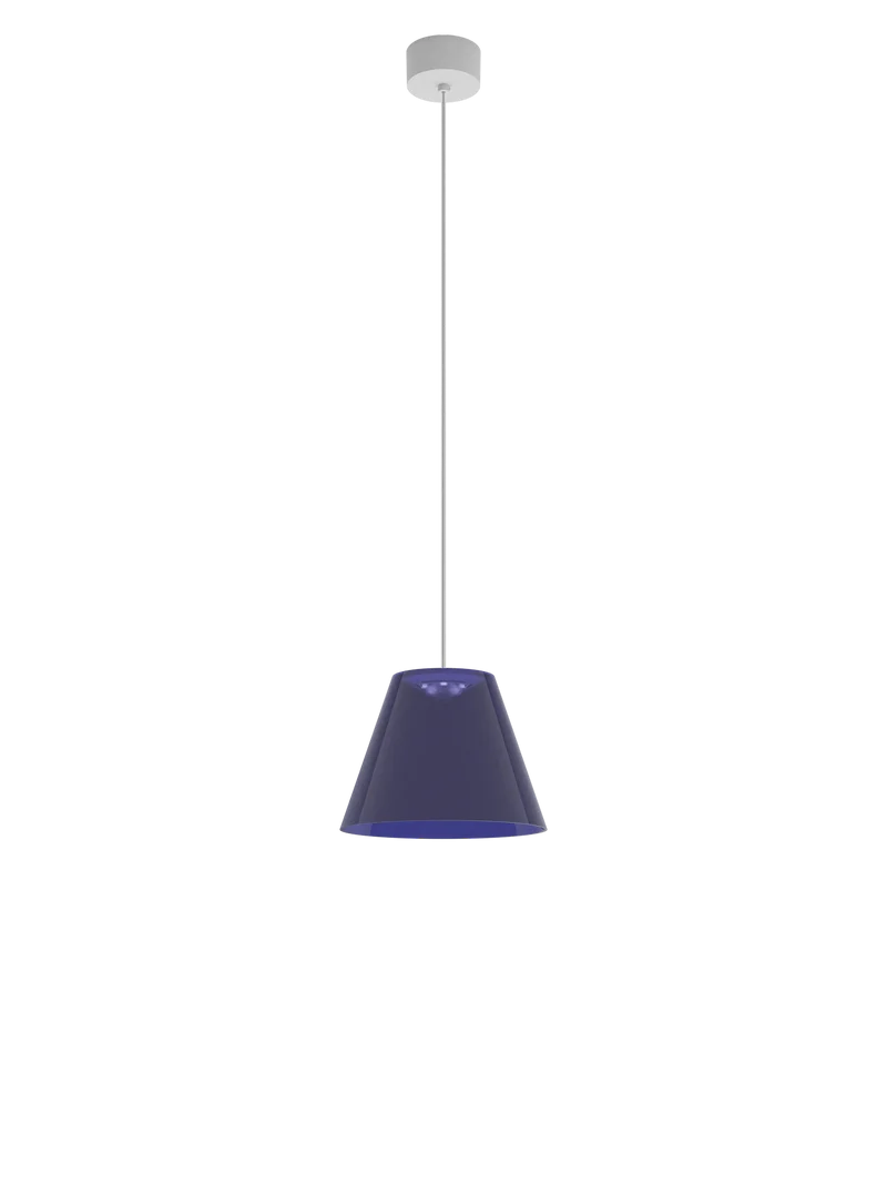 Dina H1