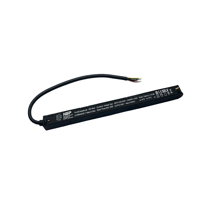 KGP 48V EVG LV100W48VDC