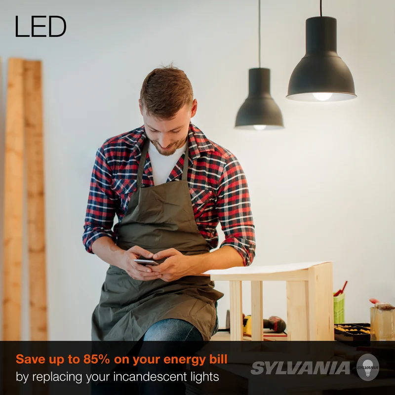 SYLVANIA A19 LED Light Bulb, 60W = 8.5W, Medium Base, Frosted Finish, 800 Lumens, Daylight - 2 PK