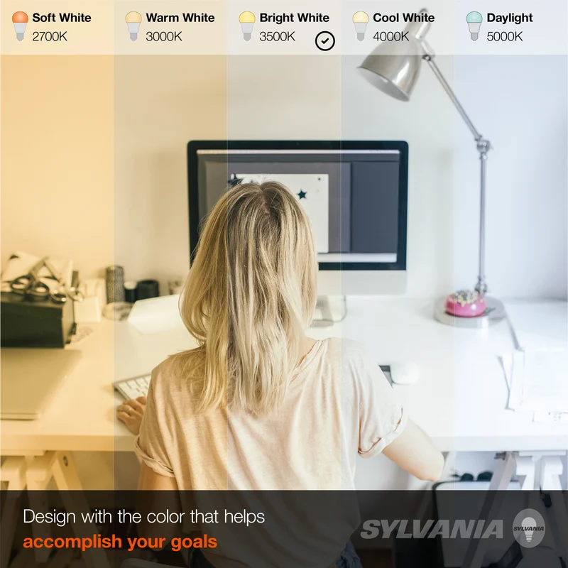 SYLVANIA A19 LED Light Bulb, 60W = 8.5W, Medium Base, Frosted Finish, 800 Lumens, Daylight - 2 PK
