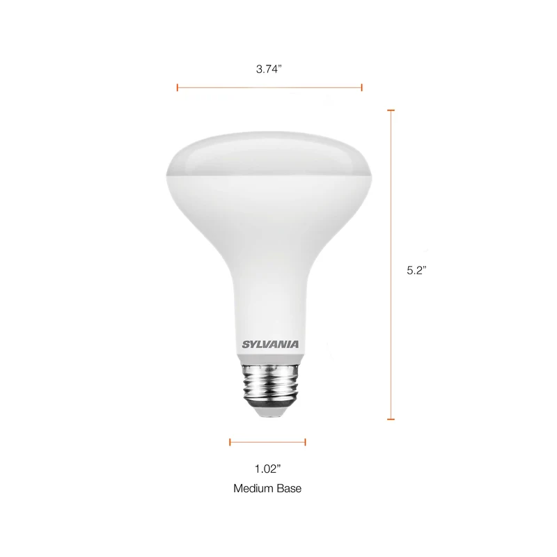 SYLVANIA 6W EverydayLED Light Bulb, A19 LED, Non Dimmable, 400 Lumens, 5000K, Daylight - 8 PK