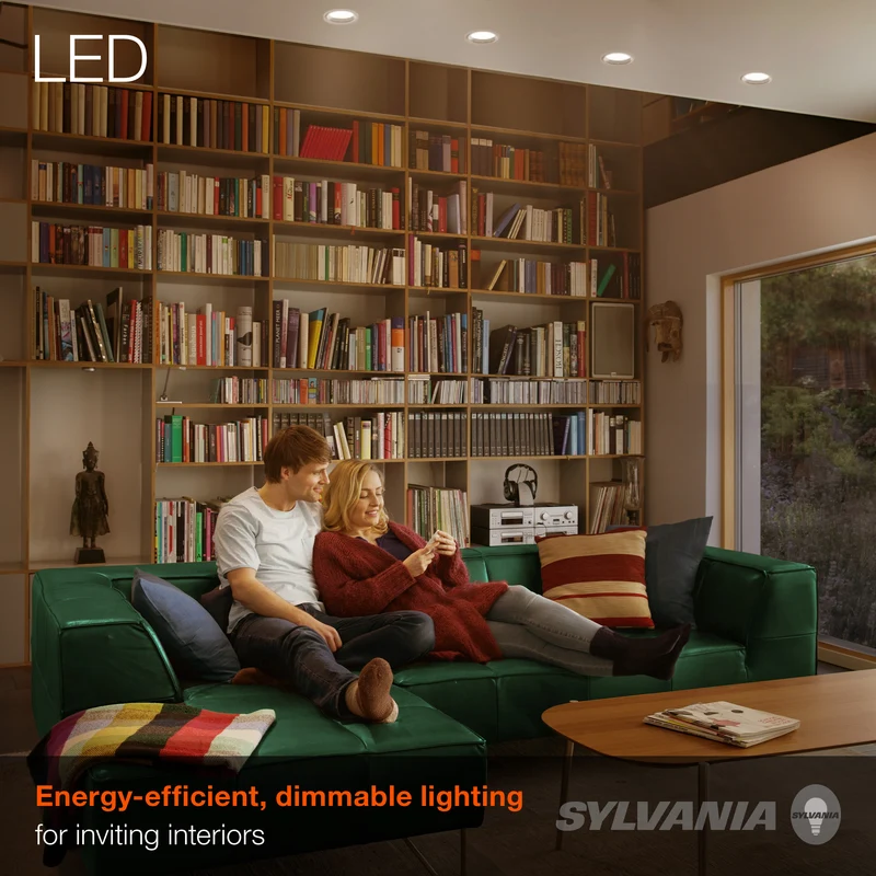 SYLVANIA LED Flood Light Bulb, 65W = 9W, 10 Year, Dimmable, Frosted Finish, White - 2 PK
