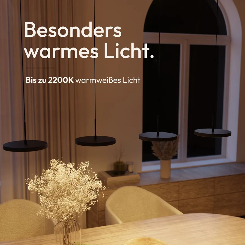 Evanos Pendelleuchte