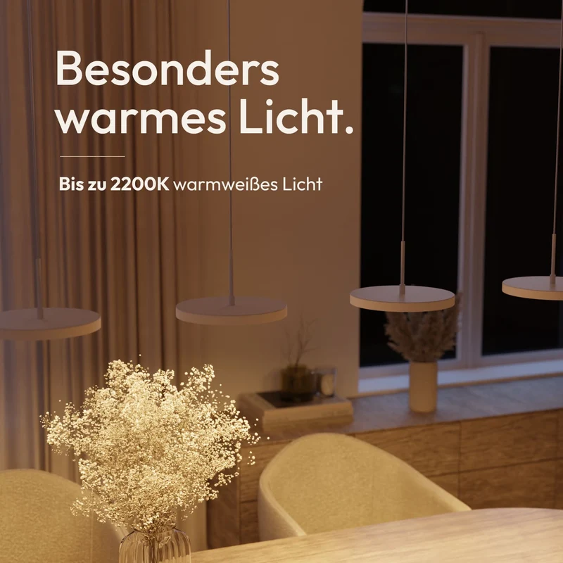 Evanos Pendelleuchte