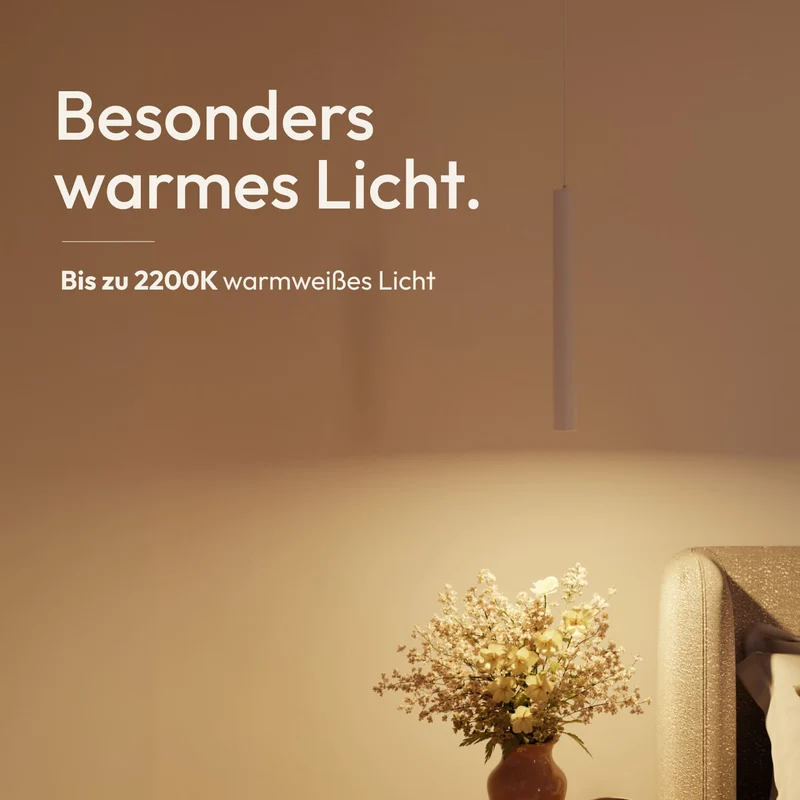 Hovaro Pendelleuchte