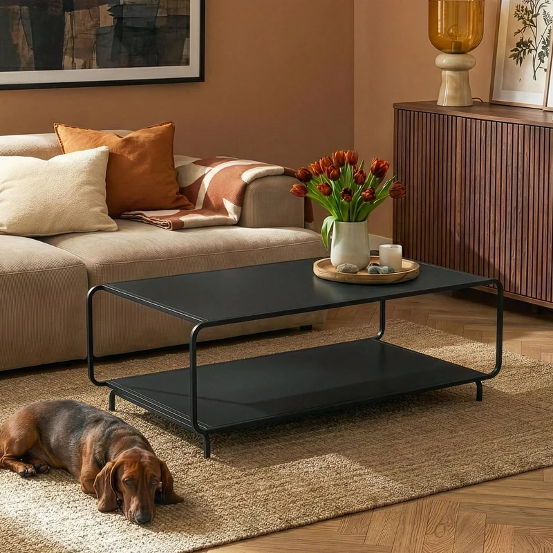 Couchtisch Færder 115x50x45 cm Stahl Schwarz [en.casa]