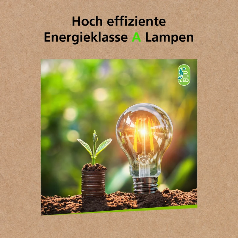 LED Lampe | 250 - 470 lm | Effizienzklasse A | E14 | Warmweiß