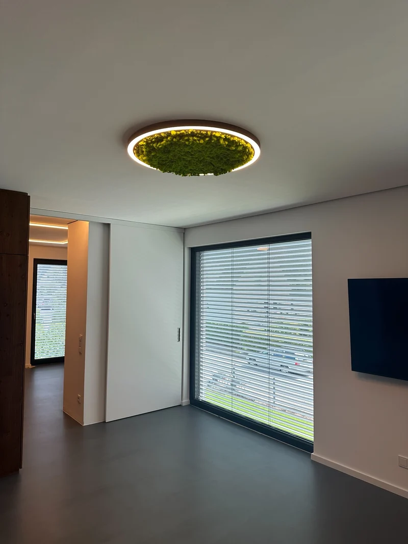 LED Circle Moosleuchte, 800mm, 50W